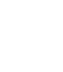 VIP Single Ticket